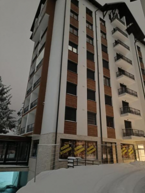 Apartman Spasic